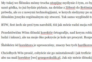 Korektōr we Chrome. Jak widać piyrsze słowo, kere musza przidać to je...