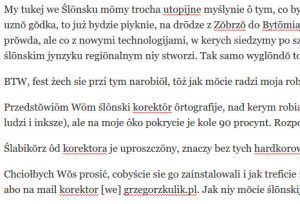 Korektōr we Chrome. Jak widać piyrsze słowo, kere musza przidać to je... 