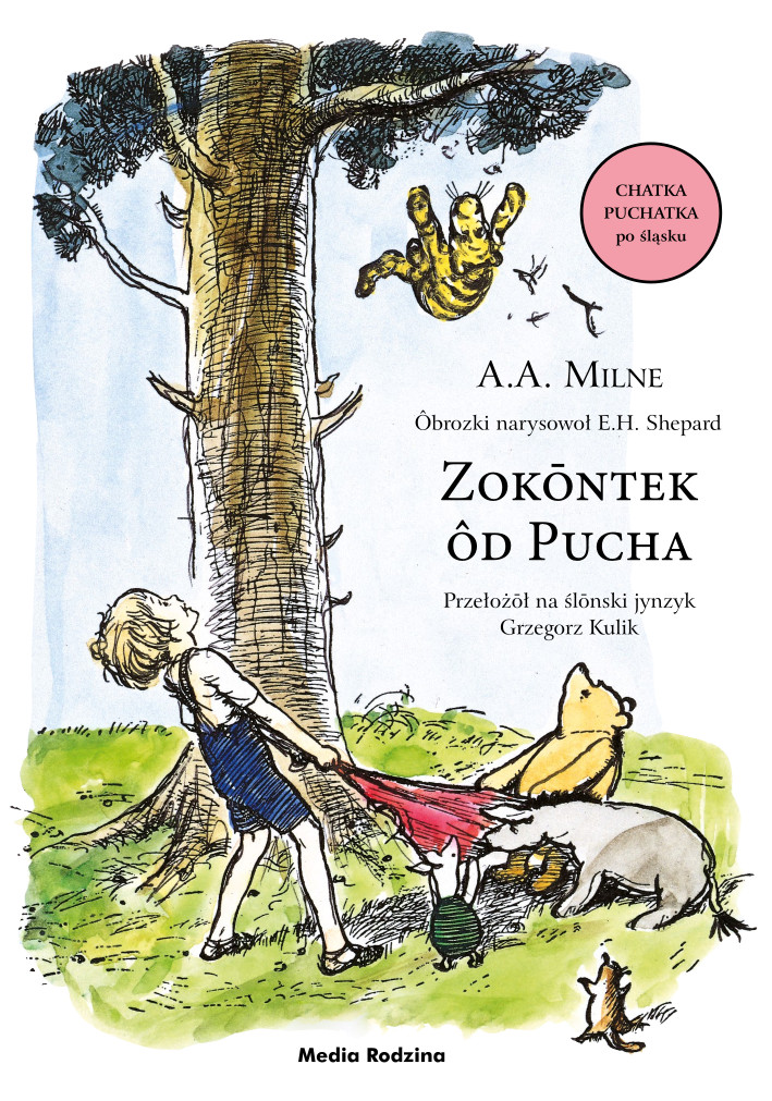 chatka puchatka po śląsku okładka